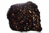 Polished Sericho Pallasite Meteorite ( g) Slice - Kenya #348847-1
